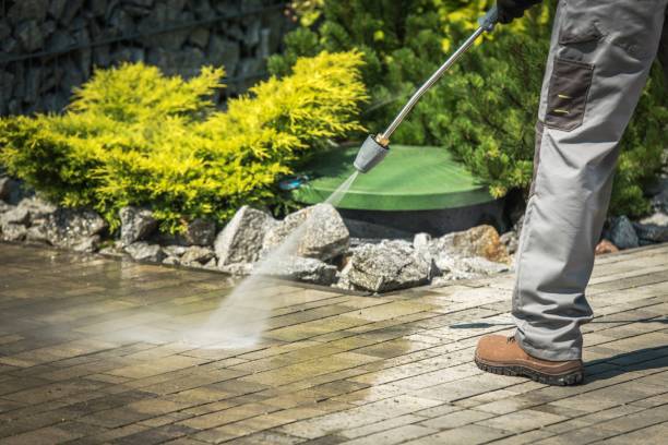 Best Pool Deck Cleaning  in Pitola, CA