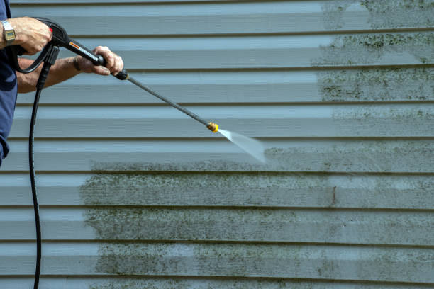 Best Dumpster Area Cleaning  in Pitola, CA